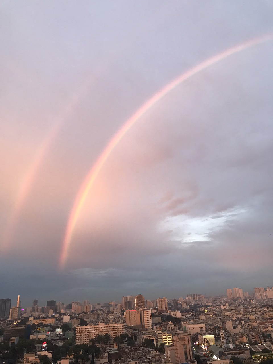 20250531 rainbow twin left 03